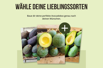 Baue deine eigene Trübenecker Avocado Box