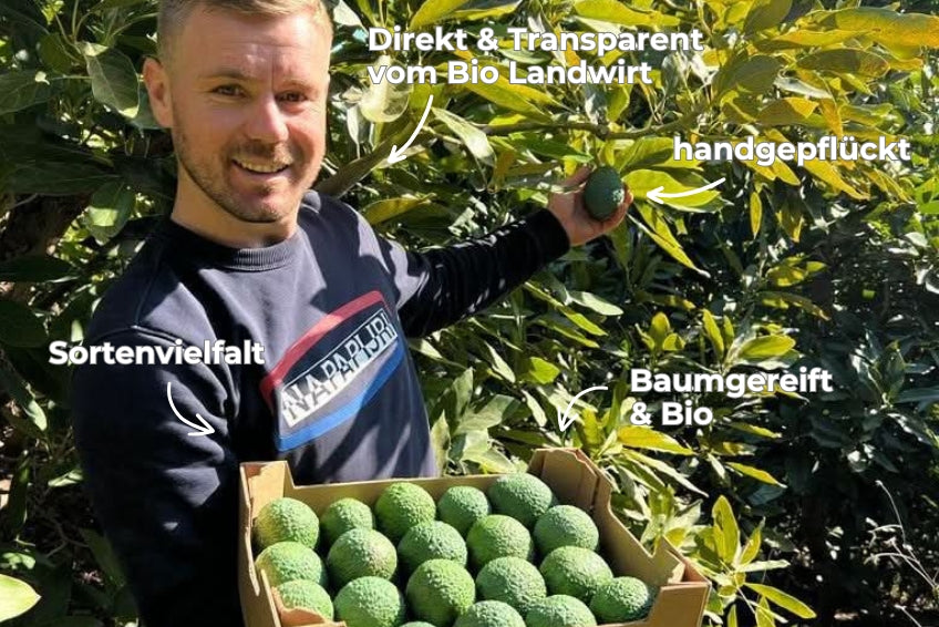 Avocado Mix „Wilde Schönheiten“ von Julian