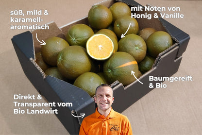 Orangen Chocolate Navel Bio