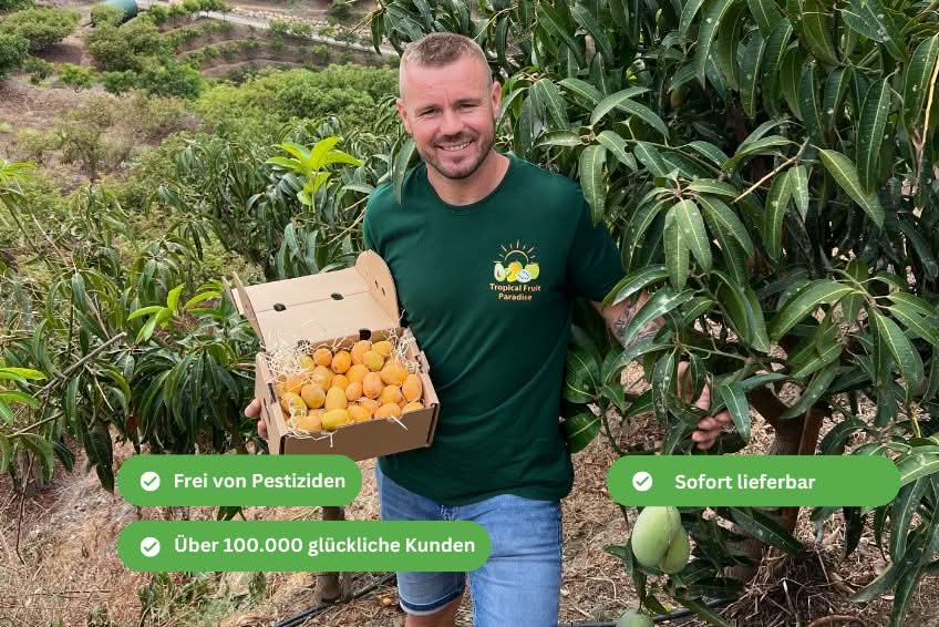 Baby Honig-Mango Ataulfo Bio von Julian