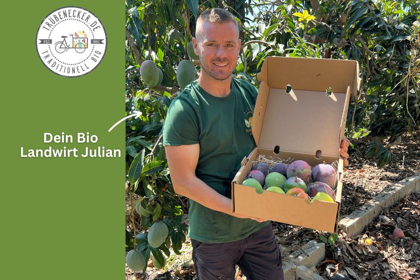 Mango-Raritäten Mix Box von Julian Farmerbox