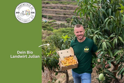 Baby Honig-Mango Ataulfo Bio von Julian