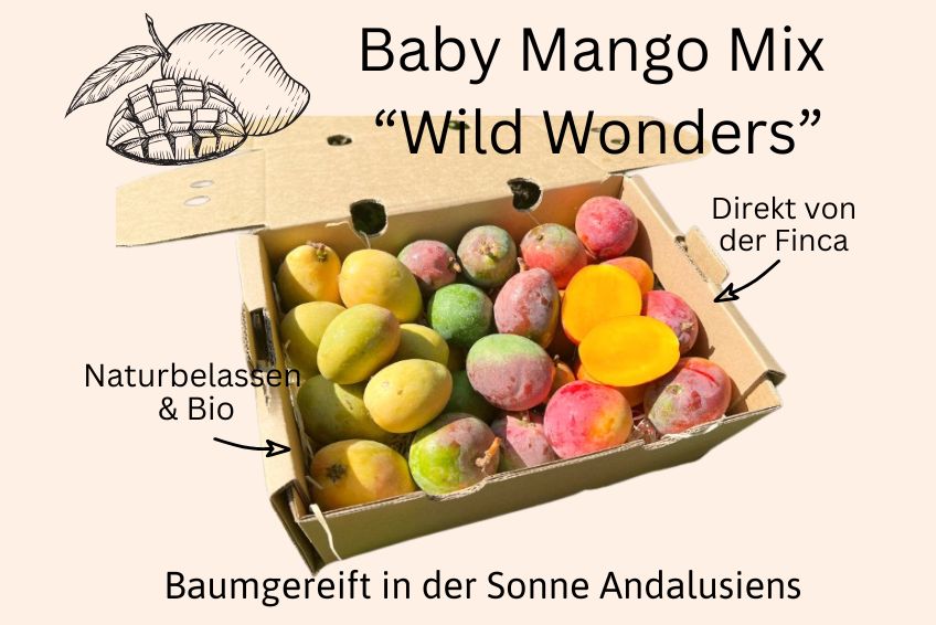 Baby-Mango Mix "Wild Wonders" Box