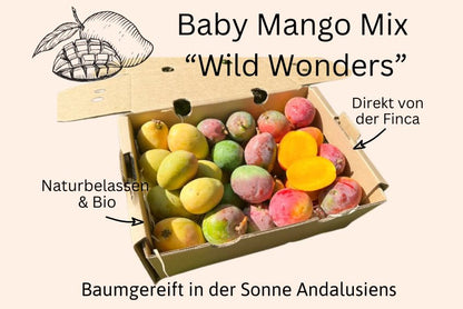 Baby-Mango Mix "Wild Wonders" Box