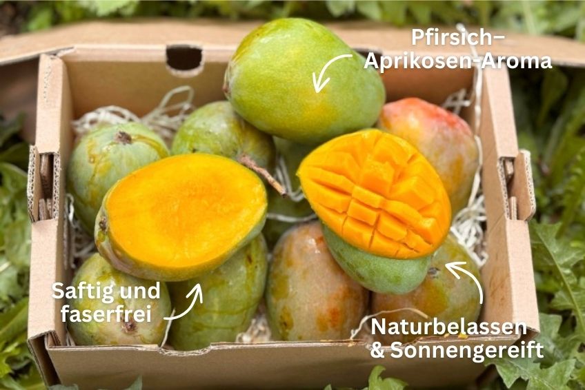 Mango Glenn Bio von Julian Sparbox