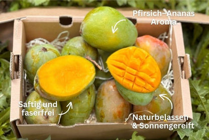 Mango "Glenn" Bio von Julian