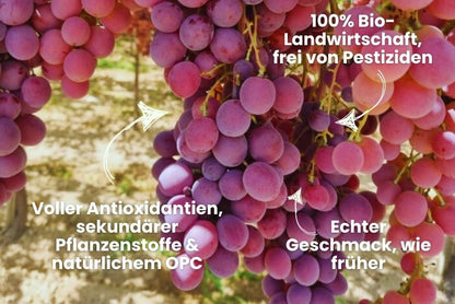 Trauben Mix Bio von Filippo Sonderpreis