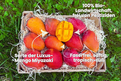Mango Irwin Edelsorte Bio Aktionspreis %