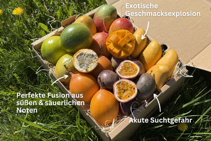Mango × Maracuja Erlebnisbox