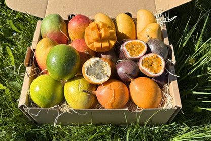 Mango × Maracuja Erlebnisbox