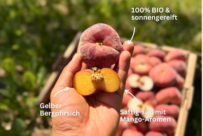 Weinbergpfirsiche gelb & weiss Bio von Jose Sonderpreis %