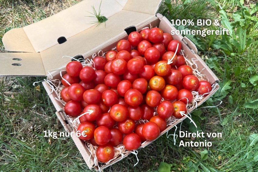 Kirschtomaten Bio von Antonio Retterbox 1kg