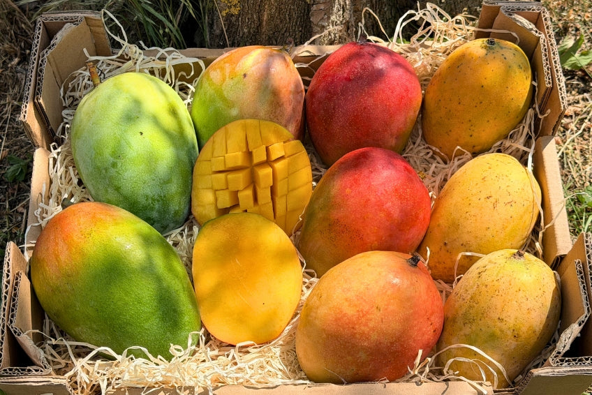 Mango Mix Sonderaktion % 3kg