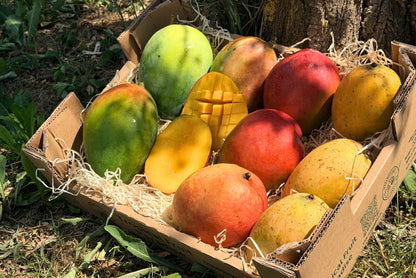 Mango Mix Sonderaktion % 3kg