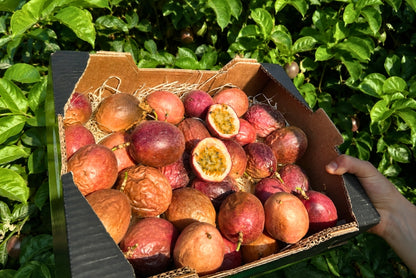 Passionsfrüchte Bio von Salvador Retteraktion %