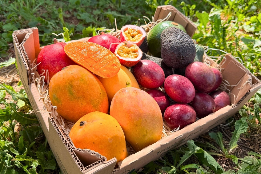 Mango, Avocado & Passion Box