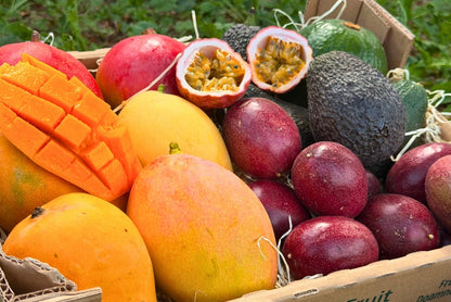 Mango, Avocado & Passion Box