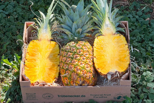 Ananas Flugware reifgeerntet groß (1,5kg-1,75kg)