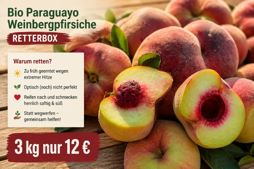 Weinbergpfirsiche "Paraguayos" Bio Retterbox % 3kg