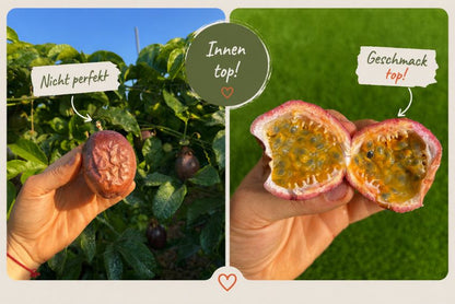 Passionsfrüchte Bio von Salvador Retteraktion %