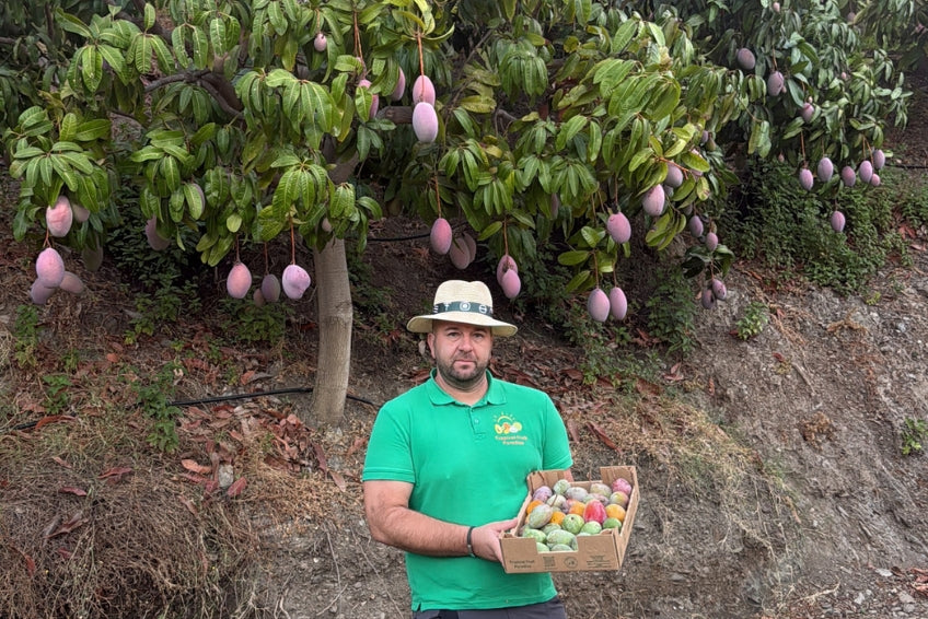 Mango Mix von Juan 3kg Sonderaktion %