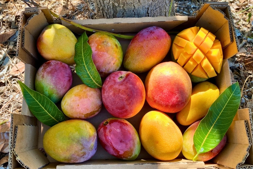 Mango Mix von Juan 3kg Aktion %