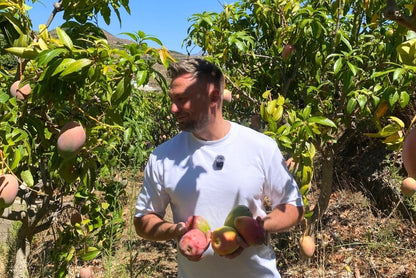 Mango Mix von Juan 3kg Aktion %