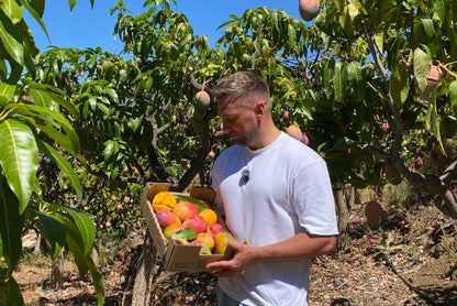 Mango Mix von Juan 3kg Aktion %