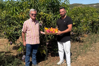 Mango Irwin Bio von Jaime Aktionspreis %