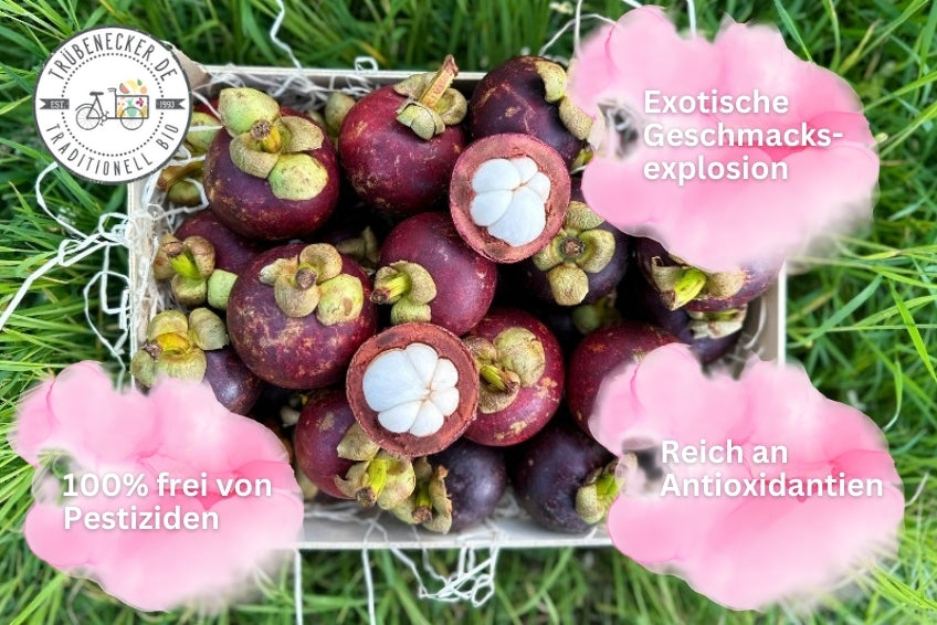 Mangostan unbehandelt Thailand 1,5kg Box Promo %