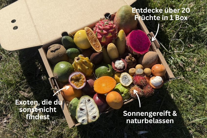 Tropen-Weltreise Exotenbox
