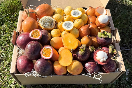 Tropical Obsession Box