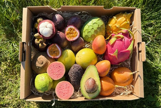 Eigene Früchtebox