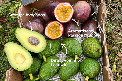 Avocado & Passionsfrüchte Box von Salvador