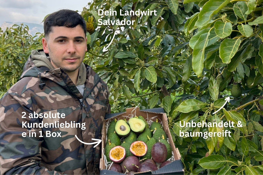 Avocado & Passionsfrüchte Box von Salvador