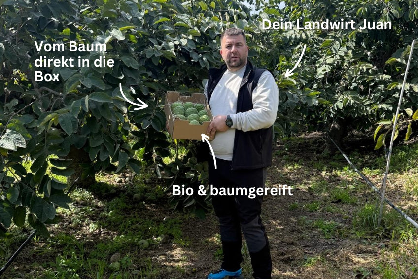 Cherimoya Bio Hochernte-Retterbox Sonderaktion % 4kg
