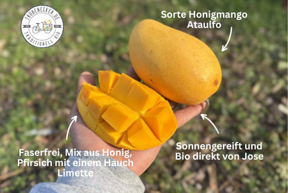Mango Entdeckerbox