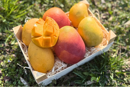 Mango-Trio Mix-Box 2kg Sonderaktion %