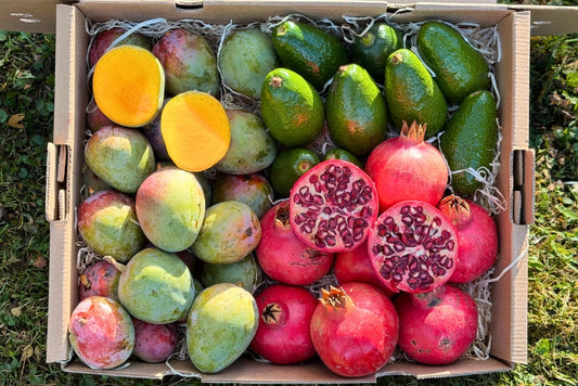 Mini Mango-Avocado-Granatapfel Bio Retterbox % 4kg