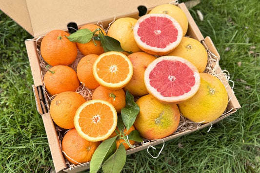 Orangen & Grapefruit Bio & Demeter Permakultur Box 4kg