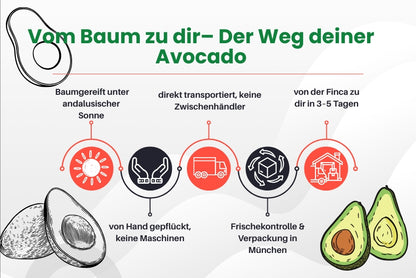Avocado Mix „Wilde Schönheiten“ von Julian