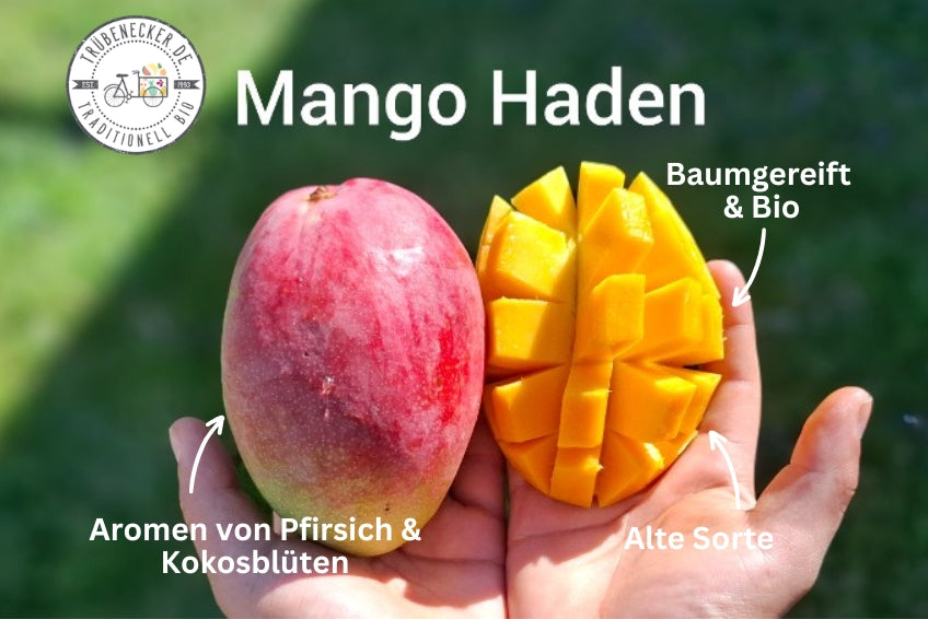 Mango Entdeckerbox