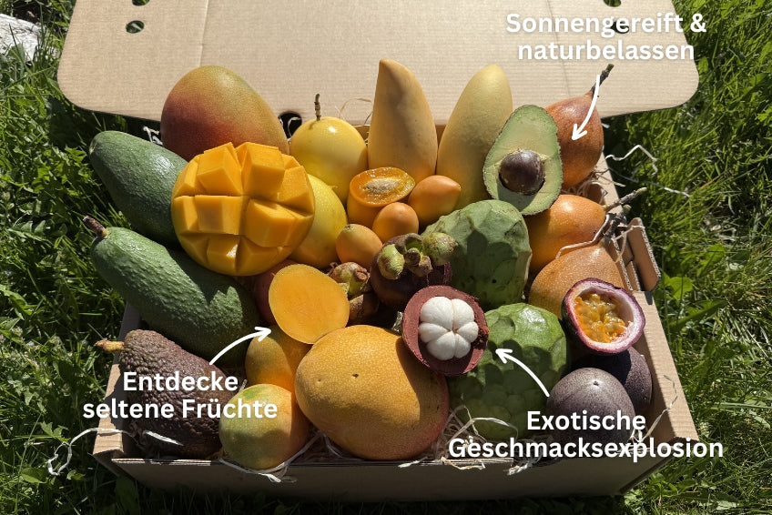 Tropical Obsession Box
