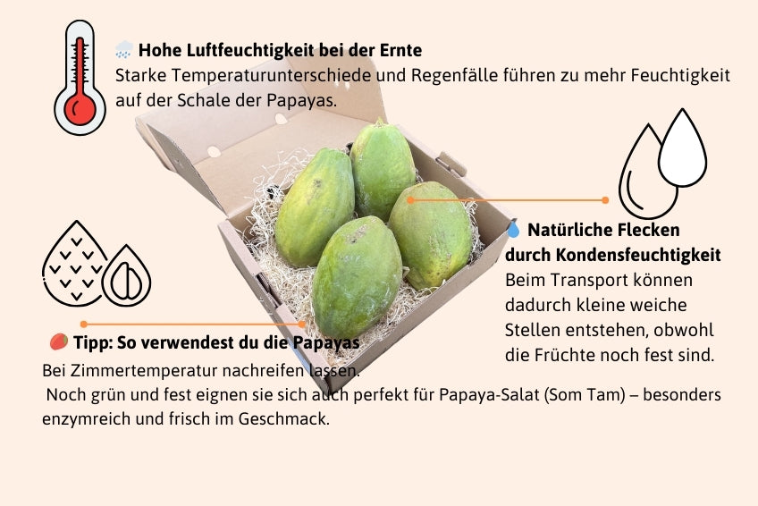 Papaya Retterbox % 4,5kg