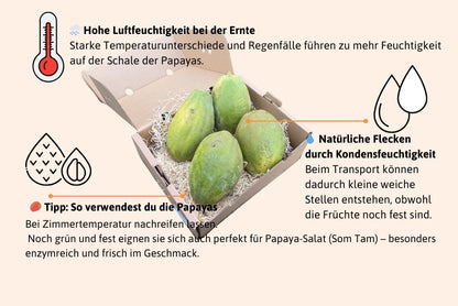 Papaya Retterbox % 4,5kg