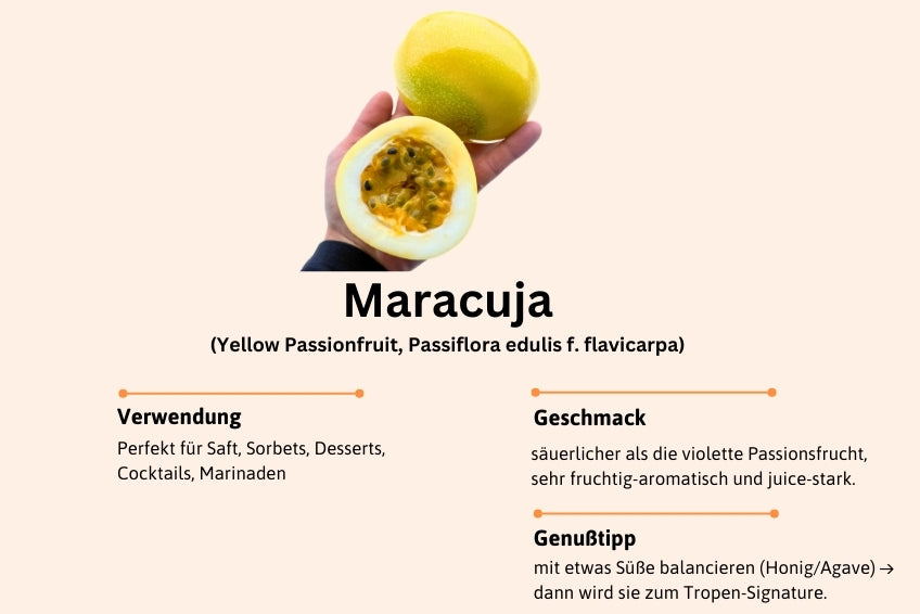 Passiflora Discovery Box