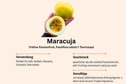 Passiflora Discovery Box