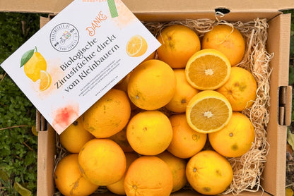 Orangen Bio Retterbox % 6kg