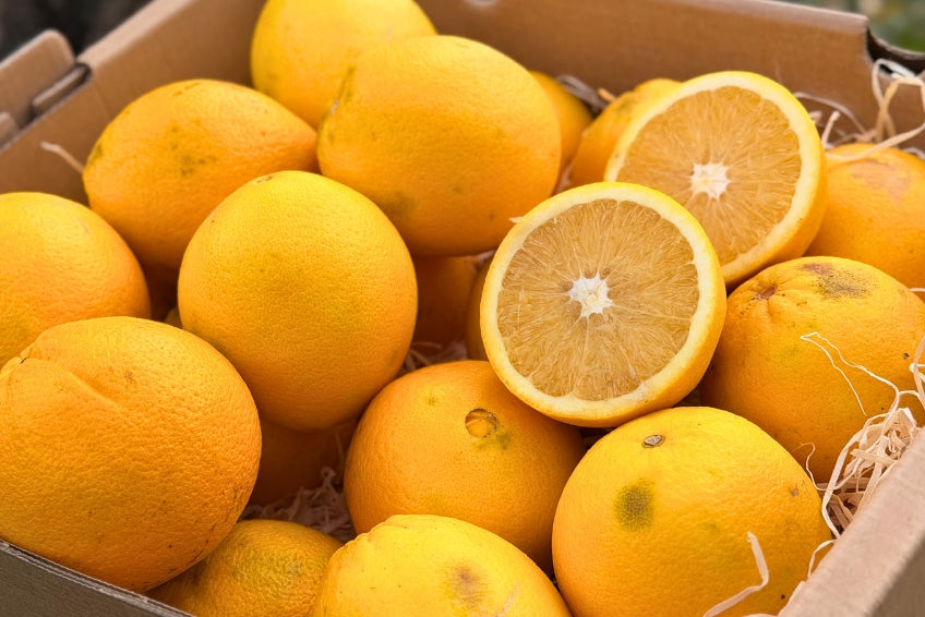 Orangen Bio Retterbox % 6kg