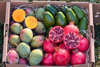 Mini Mango-Avocado-Granatapfel Bio Rettungsaktion % 4kg – Produktansicht 4